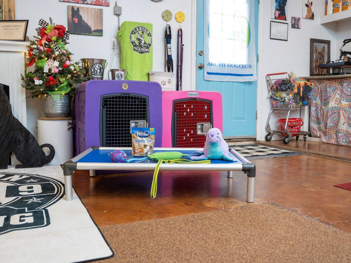 A raised bed, dog toys and colorful crates at the facility