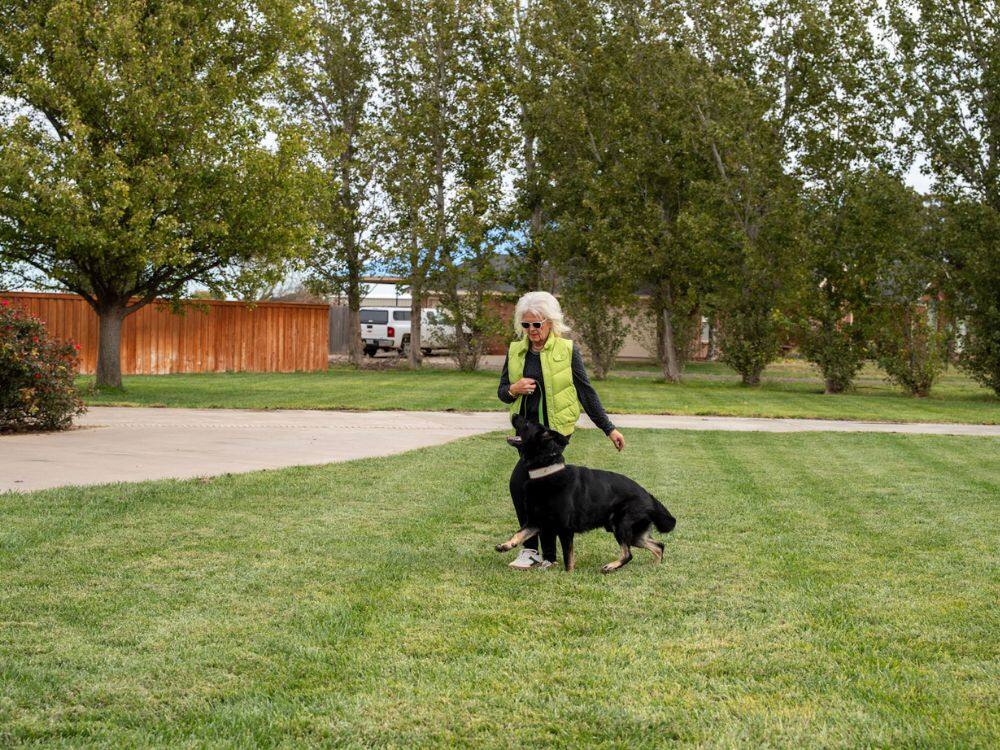Lisa Price working with a black shepherd on the grass