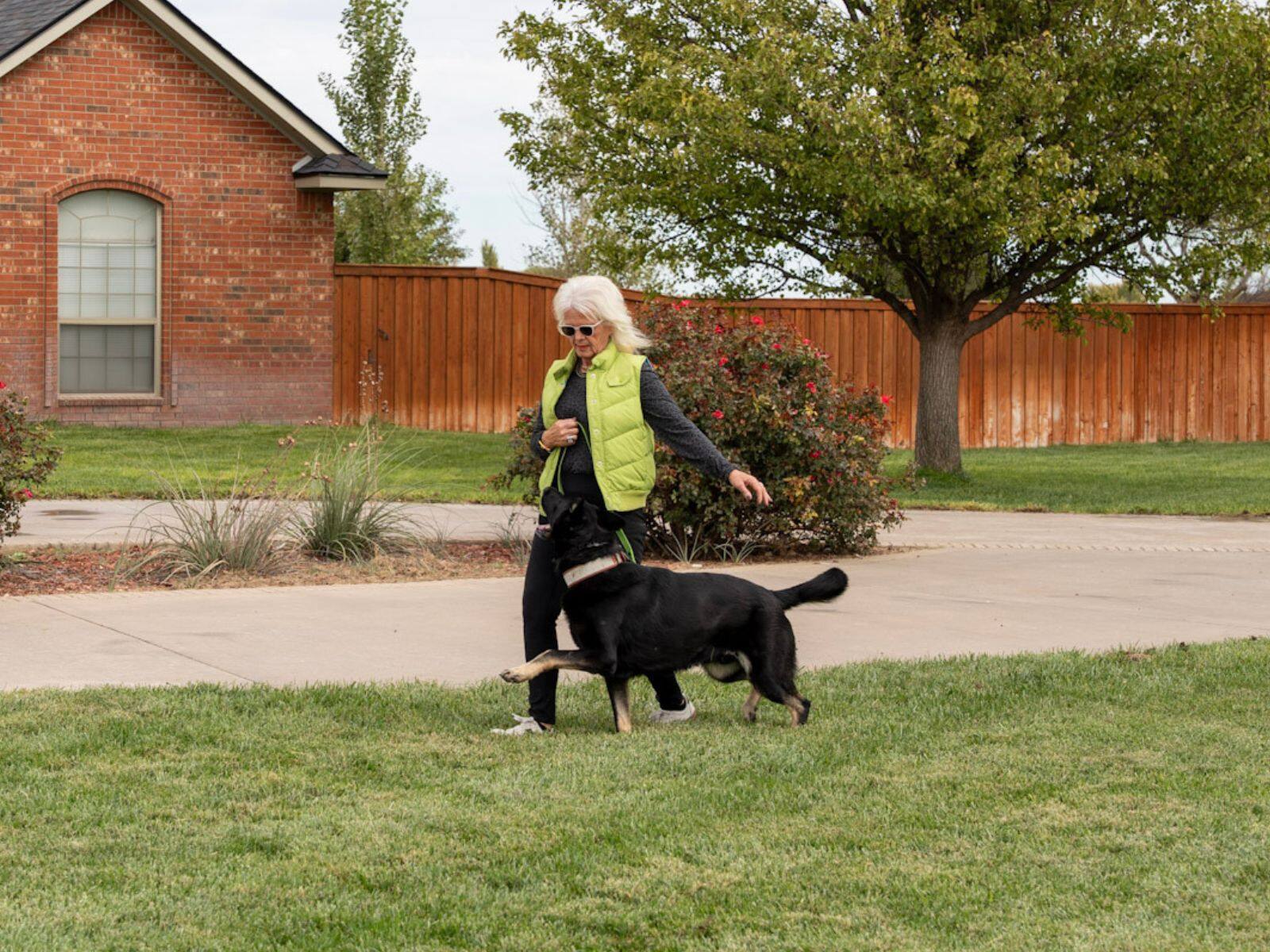 Lisa Price working with a black shepherd outdoors