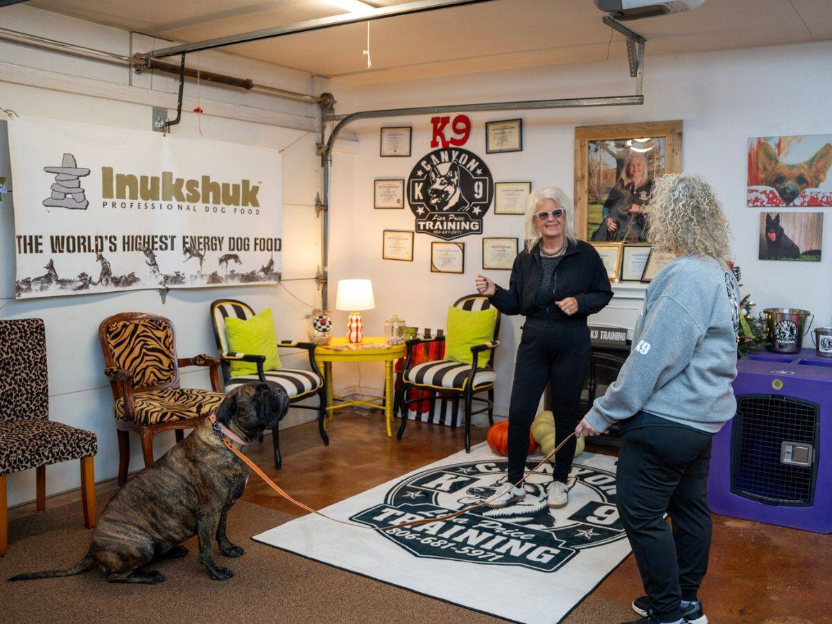 Lisa Price coaching an owner holding a brindle dog's leash